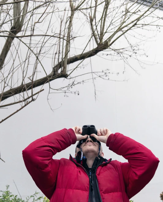 Man in a red jacket looking up through binoculars at tree branches against a white wall. Man in a red jacket looking up through binoculars at tree branches against a white wall.
